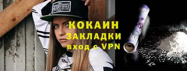 ПСИЛОЦИБИНОВЫЕ ГРИБЫ Заполярный