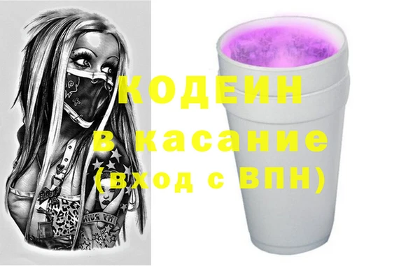гидра Заречный