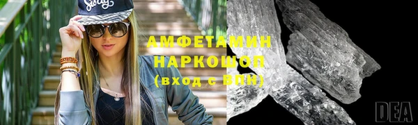 гидра Заречный