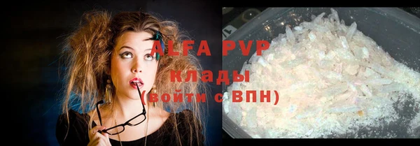 гидра Заречный