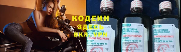 ПСИЛОЦИБИНОВЫЕ ГРИБЫ Заполярный