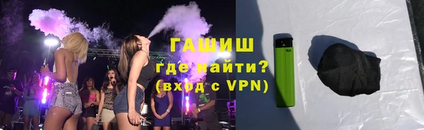 гидра Заречный