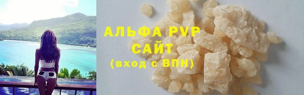 гидра Заречный