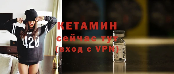 гидра Заречный