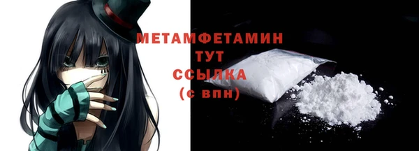 ПСИЛОЦИБИНОВЫЕ ГРИБЫ Заполярный