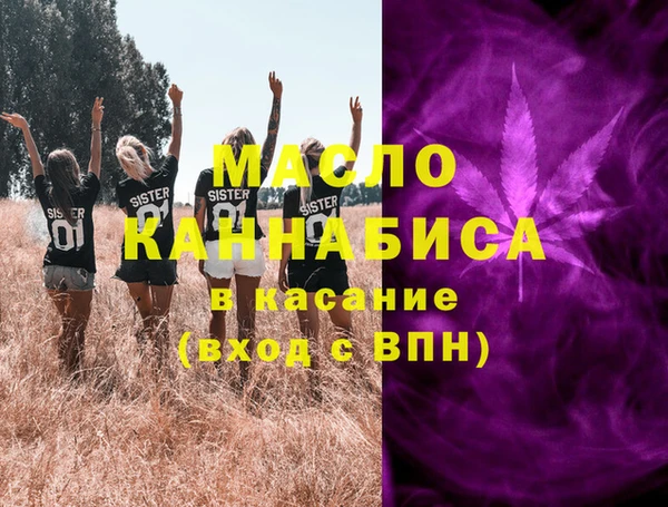 гидра Заречный