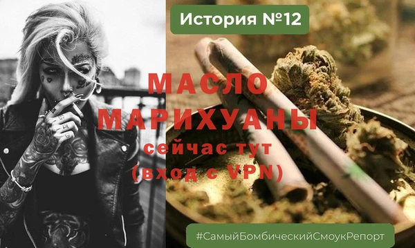 гидра Заречный