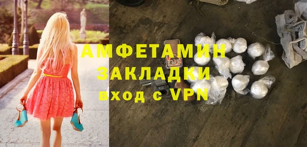 гидра Заречный