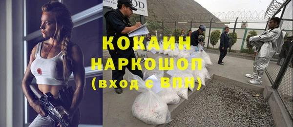 гидра Заречный