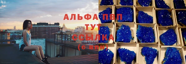 ПСИЛОЦИБИНОВЫЕ ГРИБЫ Заполярный
