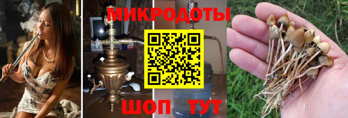 Галлюциногенные грибы мухоморы  Вход с VPN  Псилоцибиновые грибы Cubensis  Кольчугино 